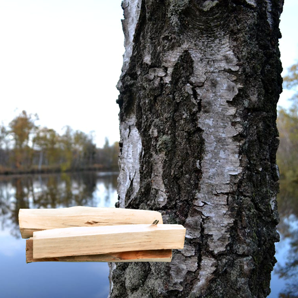 Smoker Holz
