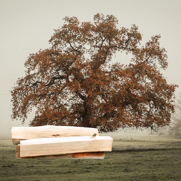 Smoker Holz